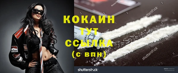 тгк Ельня