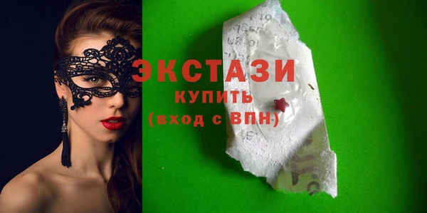 тгк Ельня