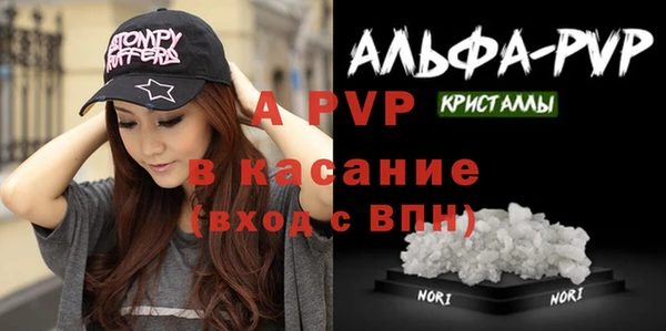 гидра Елизово