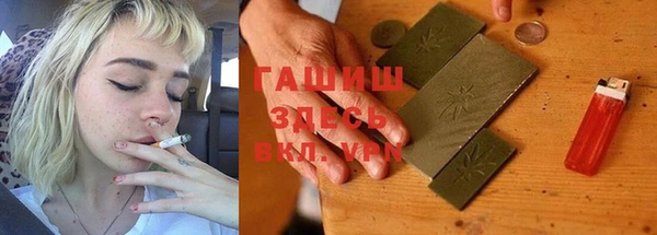 тгк Ельня