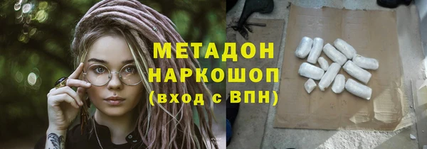 гидра Елизово