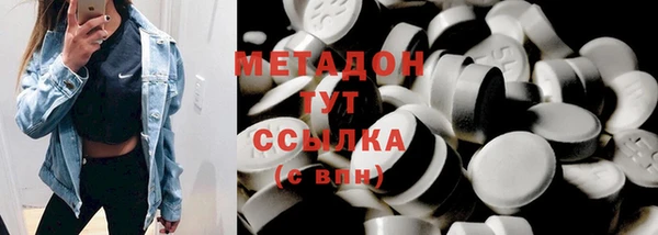 гидра Елизово