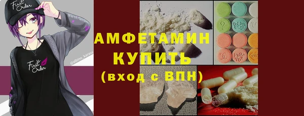 гидра Елизово
