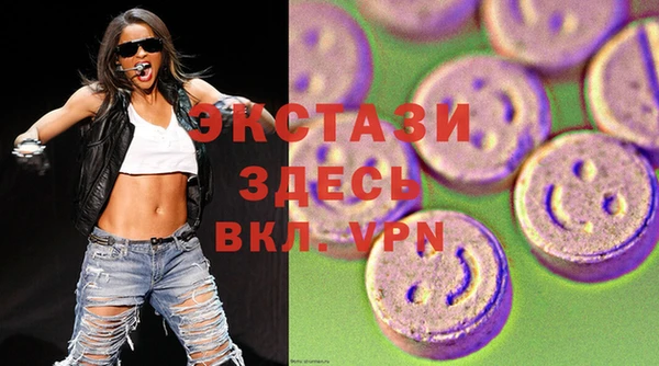 тгк Ельня
