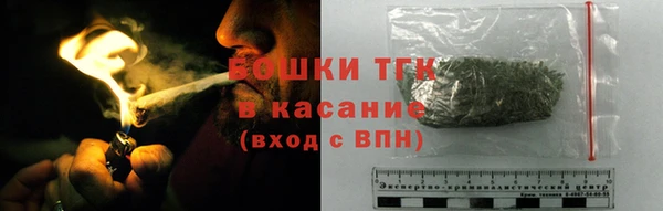 гидра Елизово