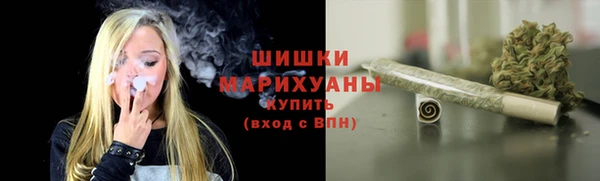 тгк Ельня