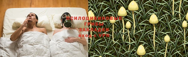 гидра Елизово