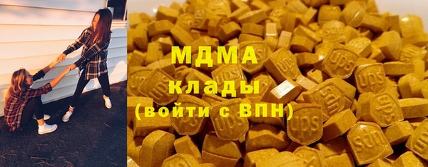 гидра Елизово