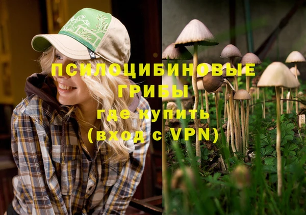 тгк Ельня