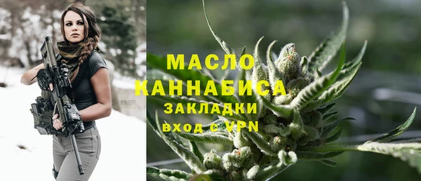 гидра Елизово