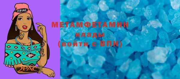 гидра Елизово