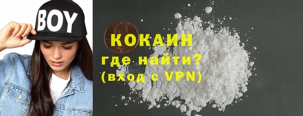 тгк Ельня