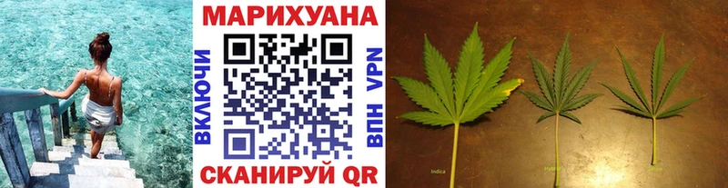 Шишки марихуана марихуана Новопавловск
